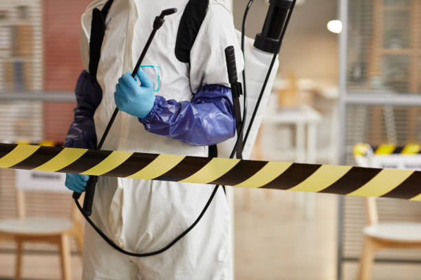 Professional Hoarding Cleanup technician working in Oark, AR